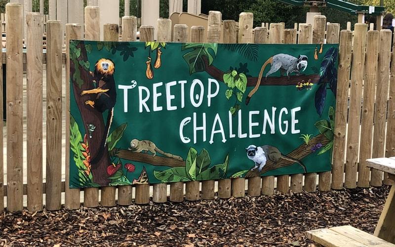 treetop challenge green banner